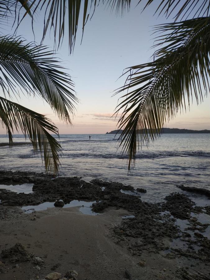 La Luciernaga Big Creek Bed and Breakfast Bocas del Toro Eksteriør billede